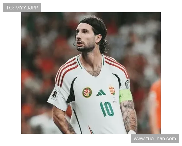 居莱尔 vs 杜埃：技术新星的战术角色与比赛影响力对比